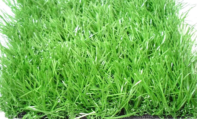 暢優人造草坪優劣判定標準說明