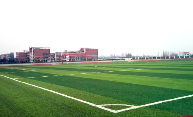 暢優(yōu)棒球場(chǎng)人造草坪施工方案