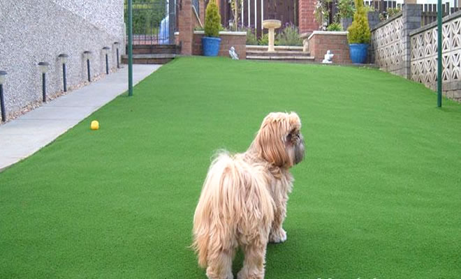 休閑型人造草坪施工方案