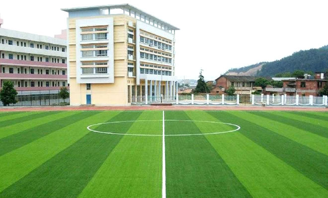 揚州暢優足球場人造草坪價格