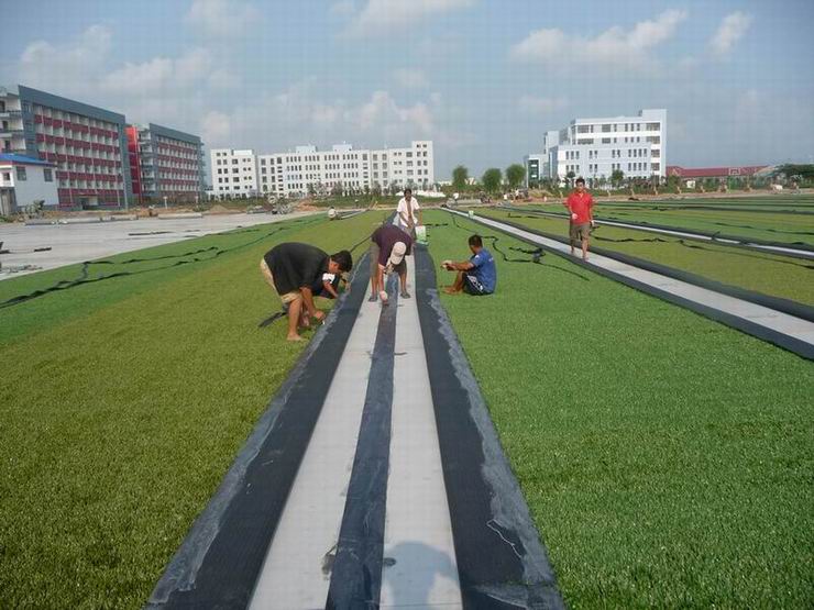 運(yùn)動(dòng)跑道暢優(yōu)公司人造草坪價(jià)格