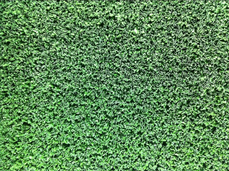 籃球場人造草坪價格