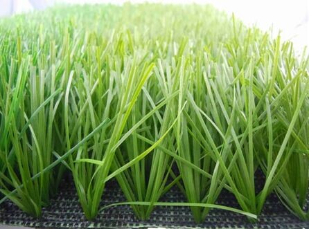 運(yùn)動場人造草坪價(jià)格細(xì)節(jié)圖片