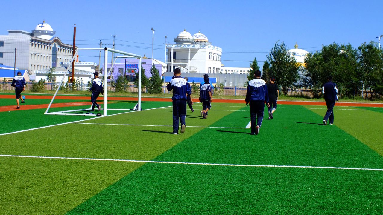 足球場人造草坪成功案例價格圖