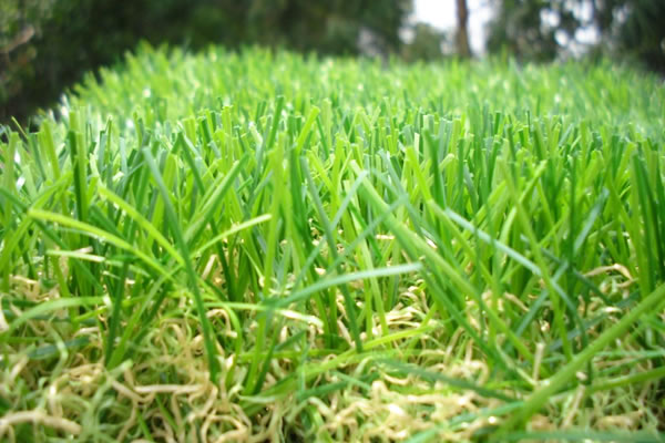 景觀系列人造草坪施工方案