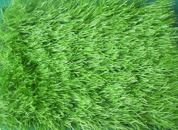 生物環(huán)境對(duì)人造草坪的影響