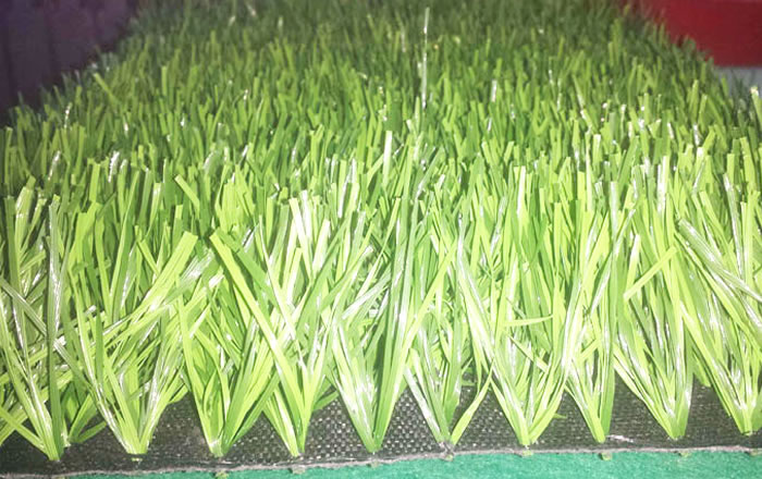 微生物對草坪草的影響很大您知道嗎