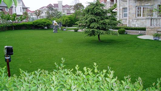 別墅綠化人造草坪價格