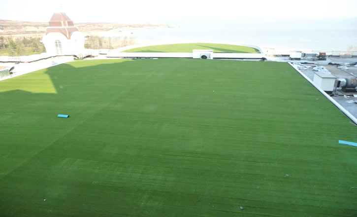 幼兒園假草坪地毯多少錢一平方？