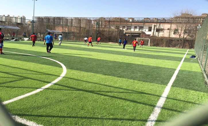 足球場假草坪地毯多少錢一平方？