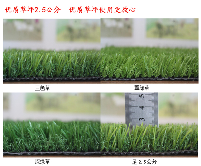 優質2.5公分高無土草坪多少錢一平方？