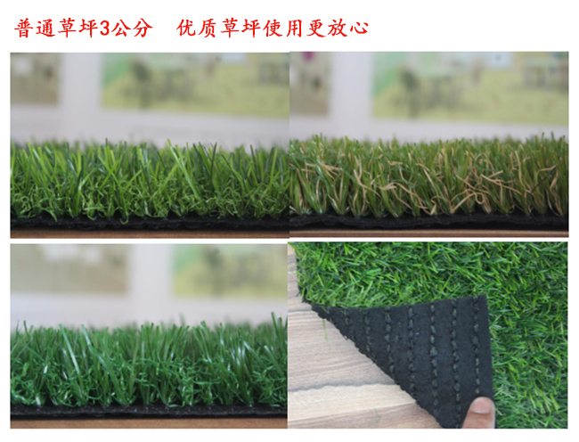 普通3公分高無土草坪多少錢一平方？
