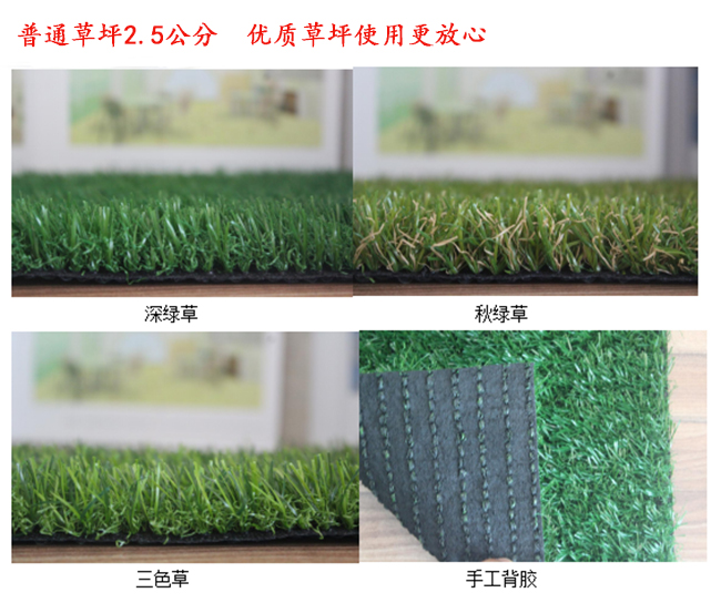 普通2.5公分高無土草坪多少錢一平方？