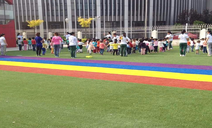 幼兒園塑料草坪每平米價格多少錢一平？