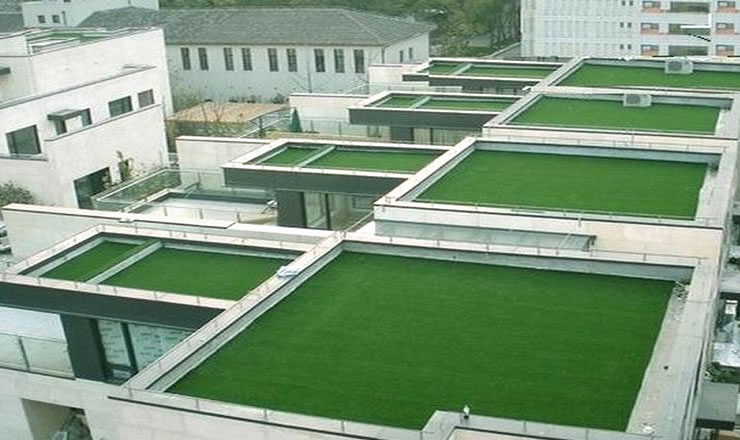 樓頂人造草坪