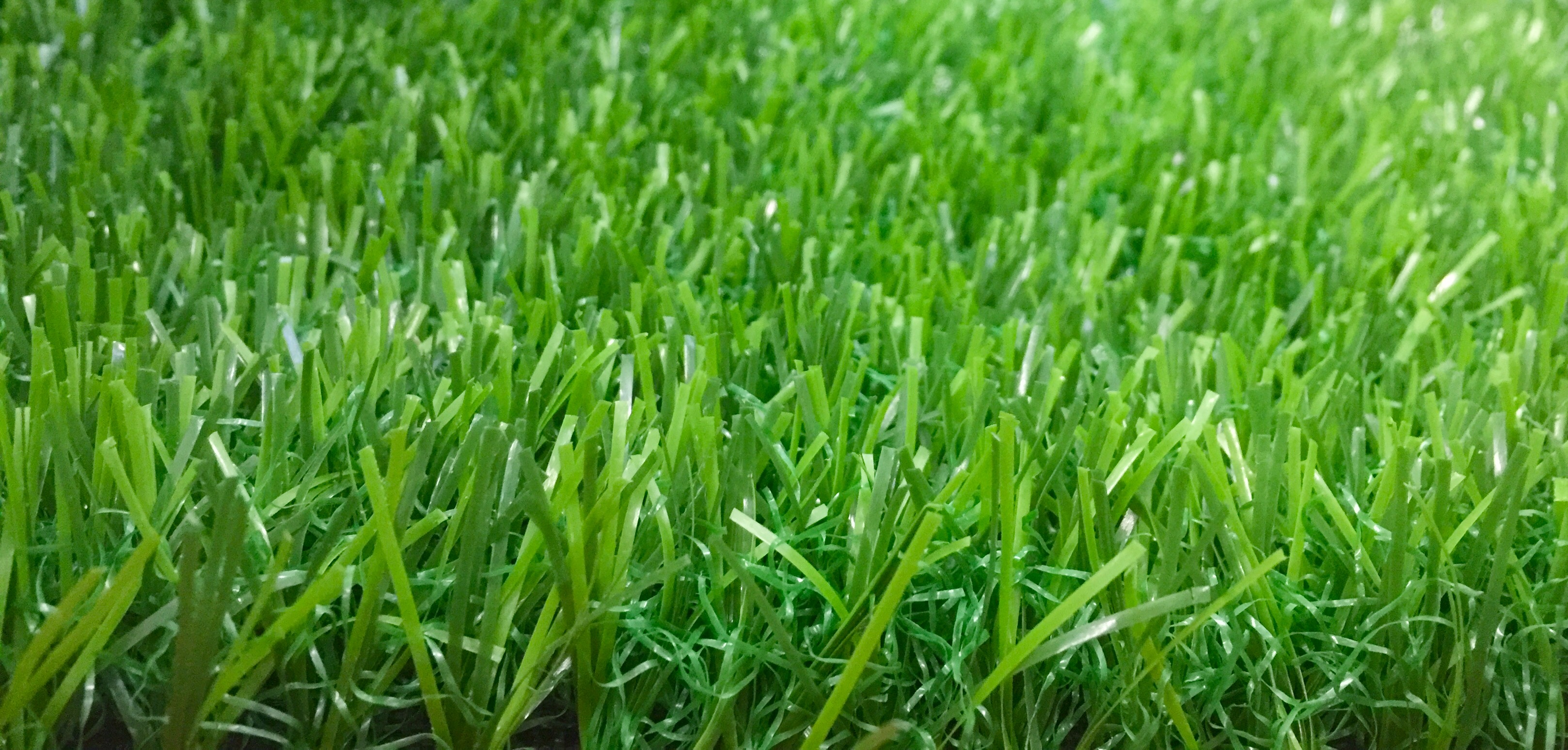 幼兒園人造草坪價格樣式圖